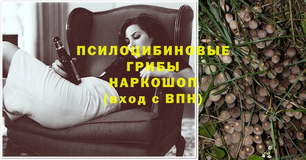 мдпв Навашино