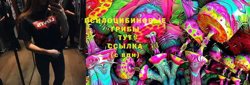 где купить наркоту  Полтавская  Галлюциногенные грибы Magic Shrooms 