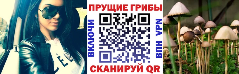 Галлюциногенные грибы GOLDEN TEACHER  MEGA как войти  Полтавская  наркота 