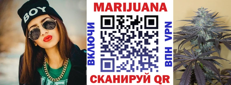 где купить   Полтавская  Каннабис планчик 